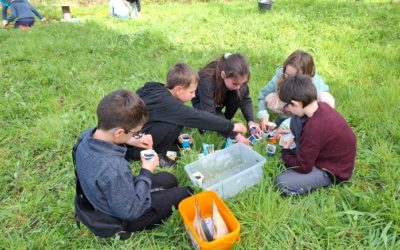 Ecole dehors : les CM investissent le jardin