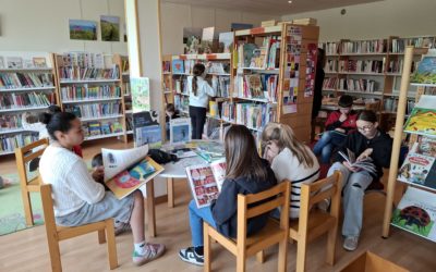 CM : temps à la bibliothèque