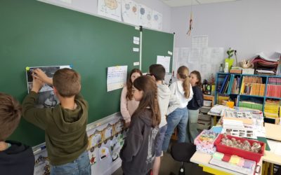 CM1-CM2 : des exposés sur les oiseaux