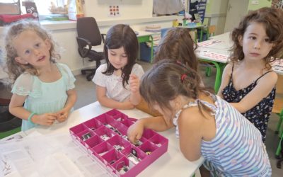 Les MS : travail sur les lettres