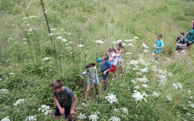 Les CM1-CM2 toujours en école dehors