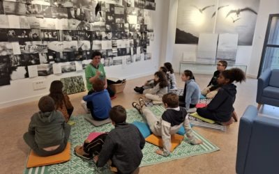 CM1-CM2 : Animation à la maison du livre