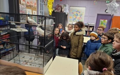 Les colombes sont arrivées à Notre Dame