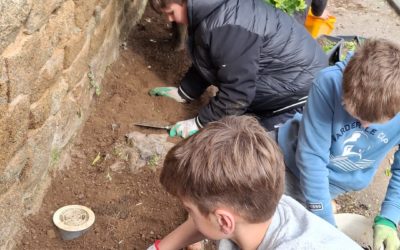 Classe CM : jardinage avec des bulbes