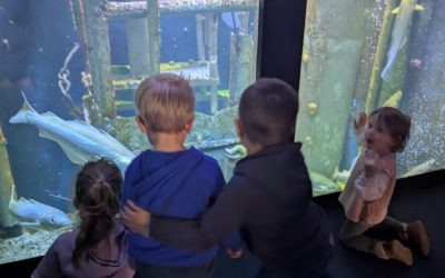 De la TPS au CP : Sortie à l’aquarium de Saint Malo